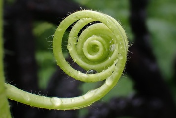 P1073934a.jpg